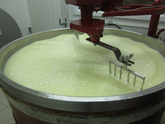 Separating curds and whey