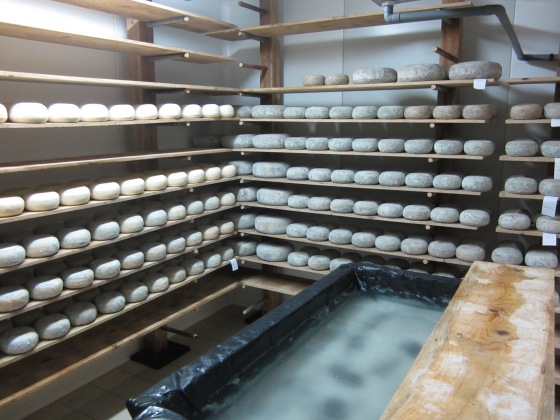 The cave: salt bath and drying shelves
